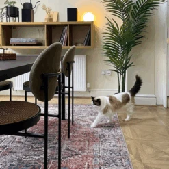 Flatwoven Washable Terracotta Medallion Area Rug - Neeve -Carpet Discount Store Untitled design 3 270e3154 2b0b 4b79 af1b efdc048cecc6