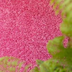 Barbie Pink Shaggy Runner Rug -Carpet Discount Store barbie 1008 5B2 5D